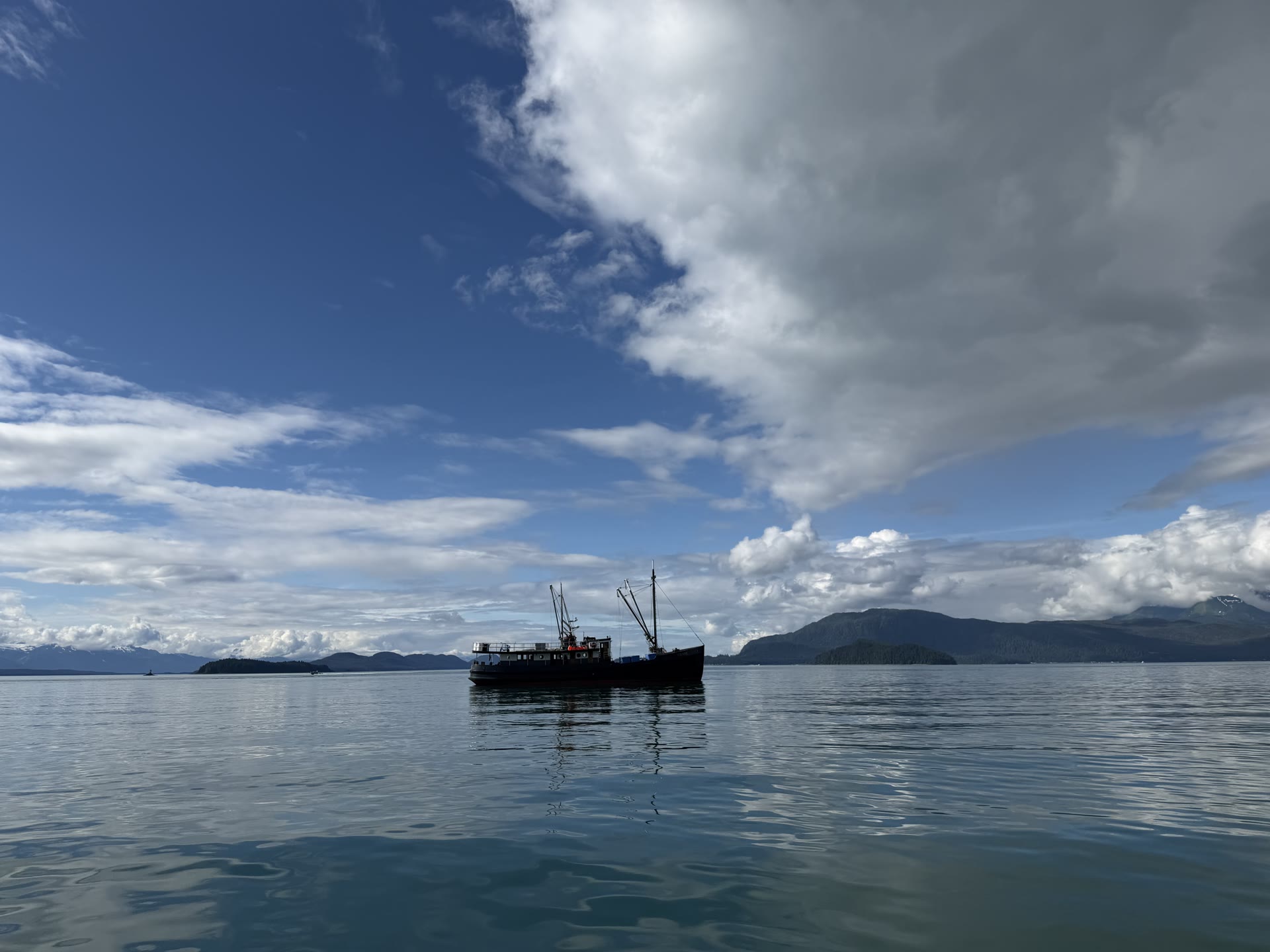 Crane at rest on glassy water under a dark Alaskan sky, mountains on the horizon