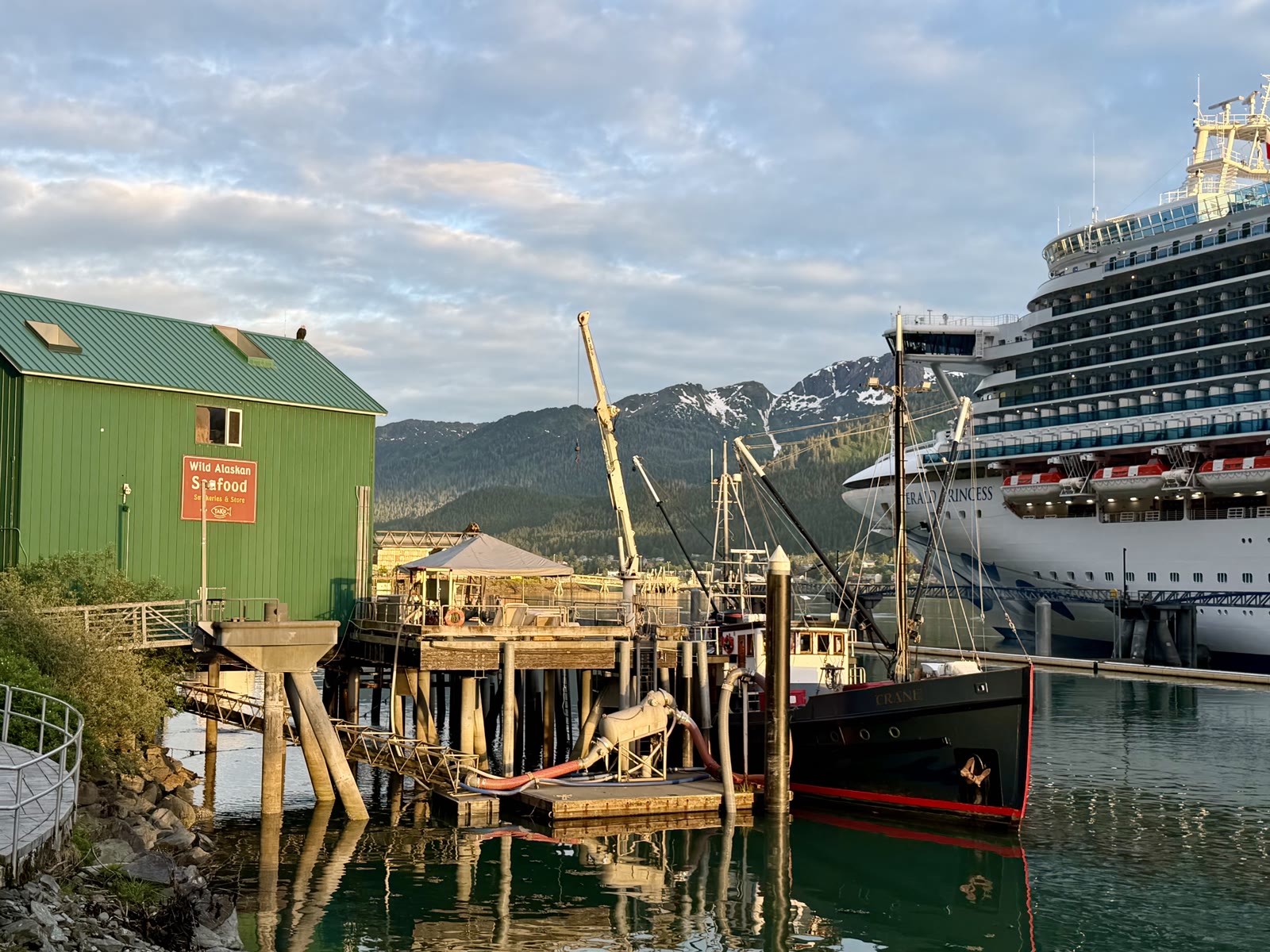 Crane at the Wild Alaskan Seafood dock in Juneau harbor, Emerald Princess and mountains behind